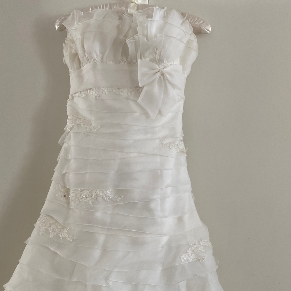 La Sposa wedding dress